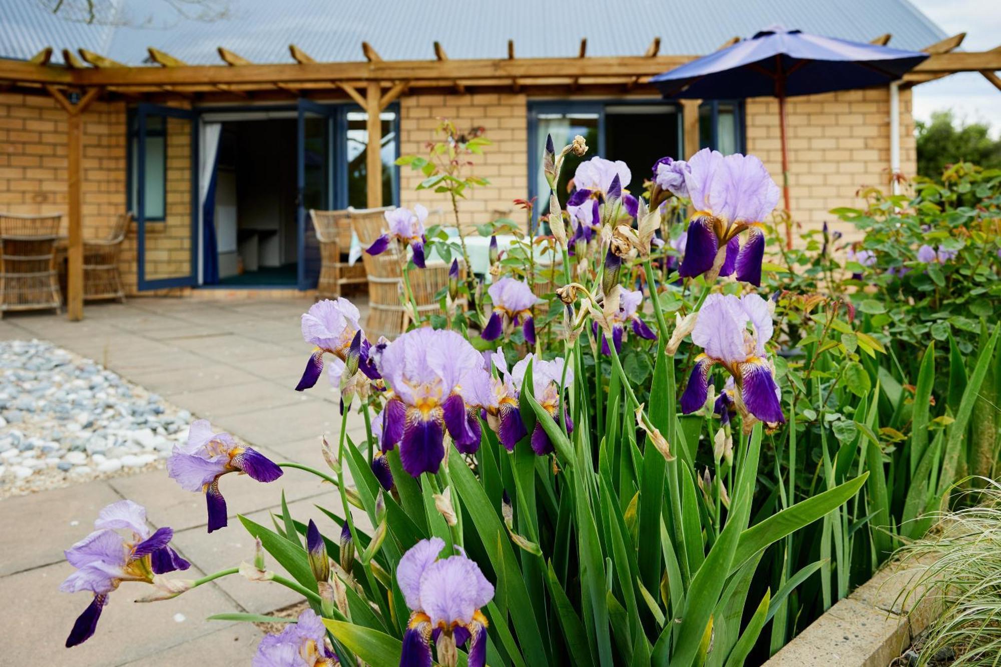 Awatea Country Bed & Breakfast Kaikoura Exterior foto