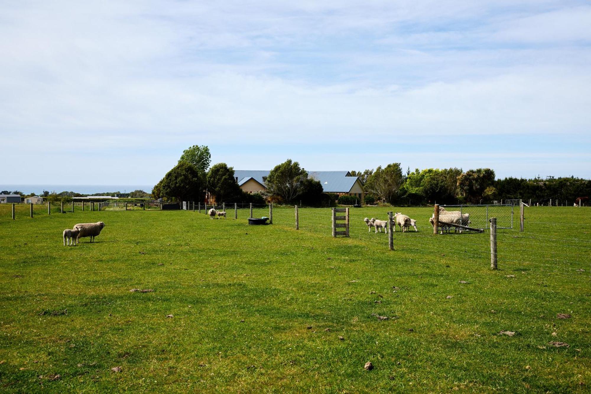 Awatea Country Bed & Breakfast Kaikoura Exterior foto